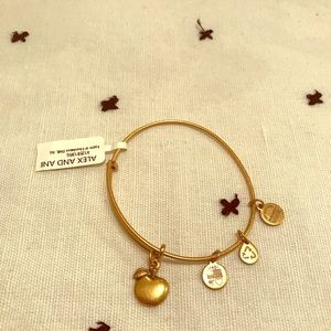 Alex and Ani Bracelet